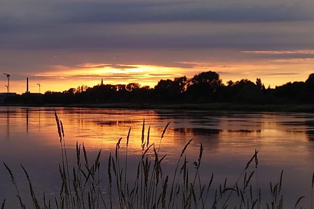 Pool, Sauna Und Blick Ins Gruene Wittenberg Buitenkant foto